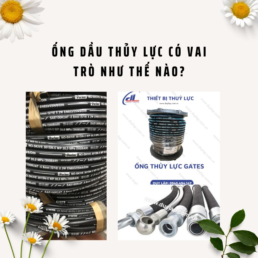 Ong dau thuy luc la gi